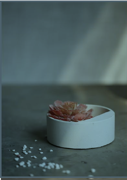 Mini Concrete Planter for Succulents & Small Plants – Modern Home Decor