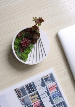 Mini Concrete Planter for Succulents & Small Plants – Modern Home Decor