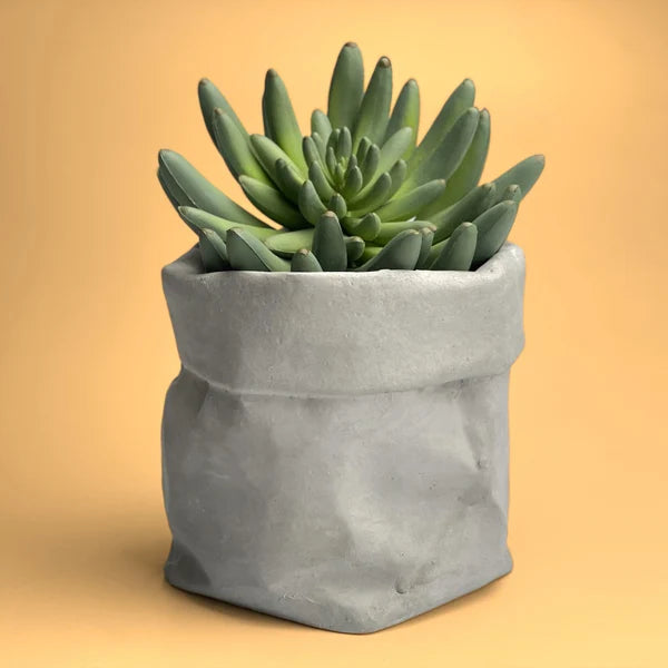 The Concrete Sack Bag Flowerpot by Squircle Decor